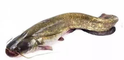 ڽ񡰹ֺšƣӷʳΪޡ