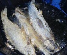 ըڽ5